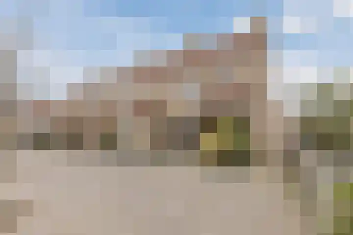 Kruiszwin 5604 Julianadorp thumbnail 6