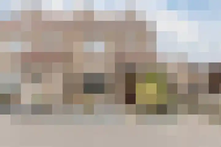 Kruiszwin 5604 Julianadorp thumbnail 62