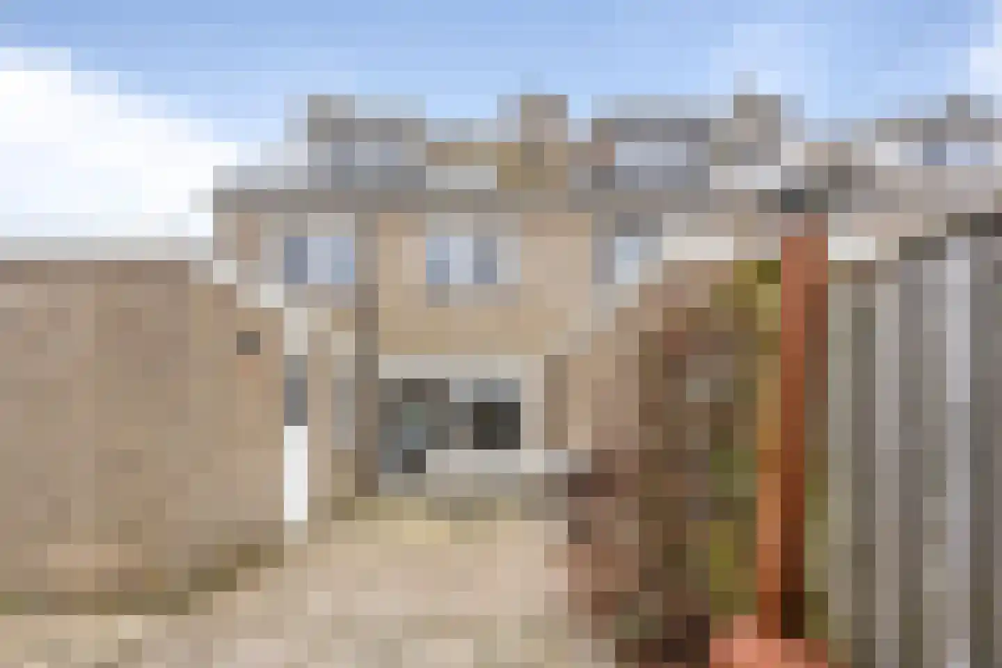 Kruiszwin 5609 Julianadorp thumbnail 25