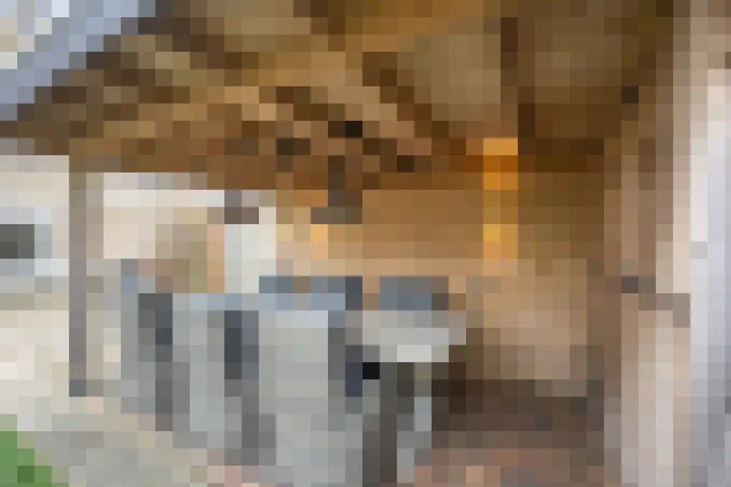 Kruiszwin 5609 Julianadorp thumbnail 33