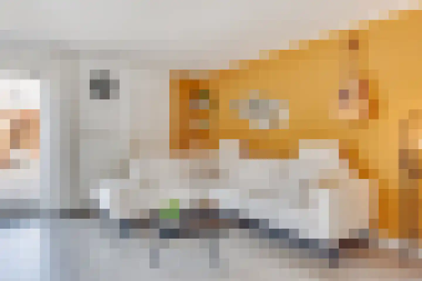 Kruiszwin 5710 Julianadorp thumbnail 10