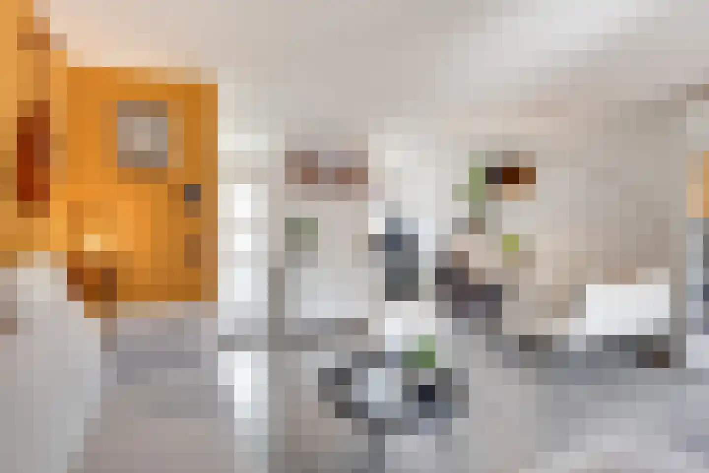 Kruiszwin 5710 Julianadorp thumbnail 12