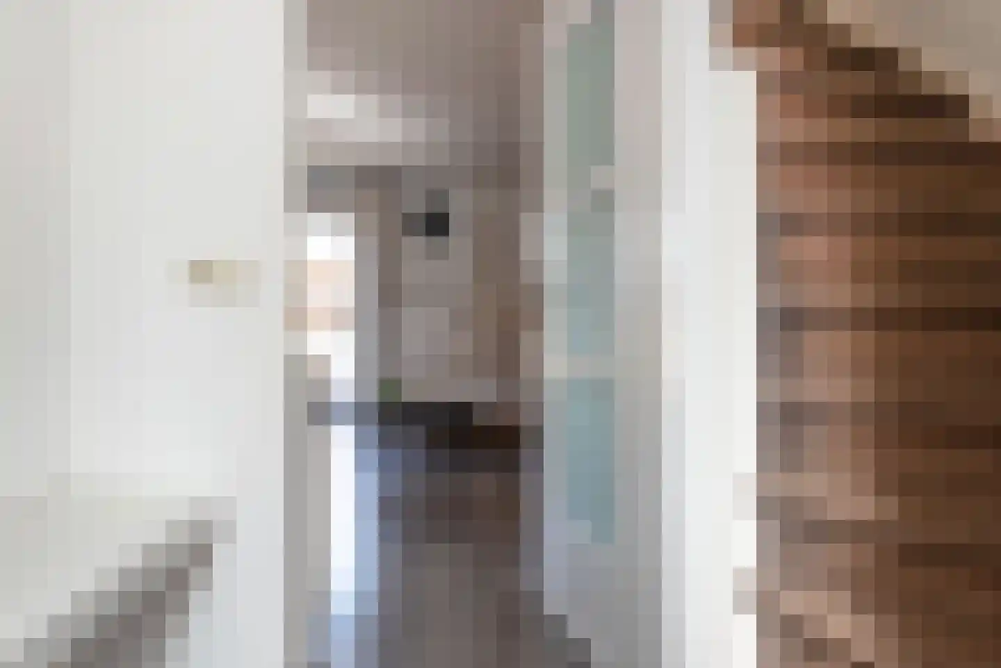 Kruiszwin 5710 Julianadorp thumbnail 18