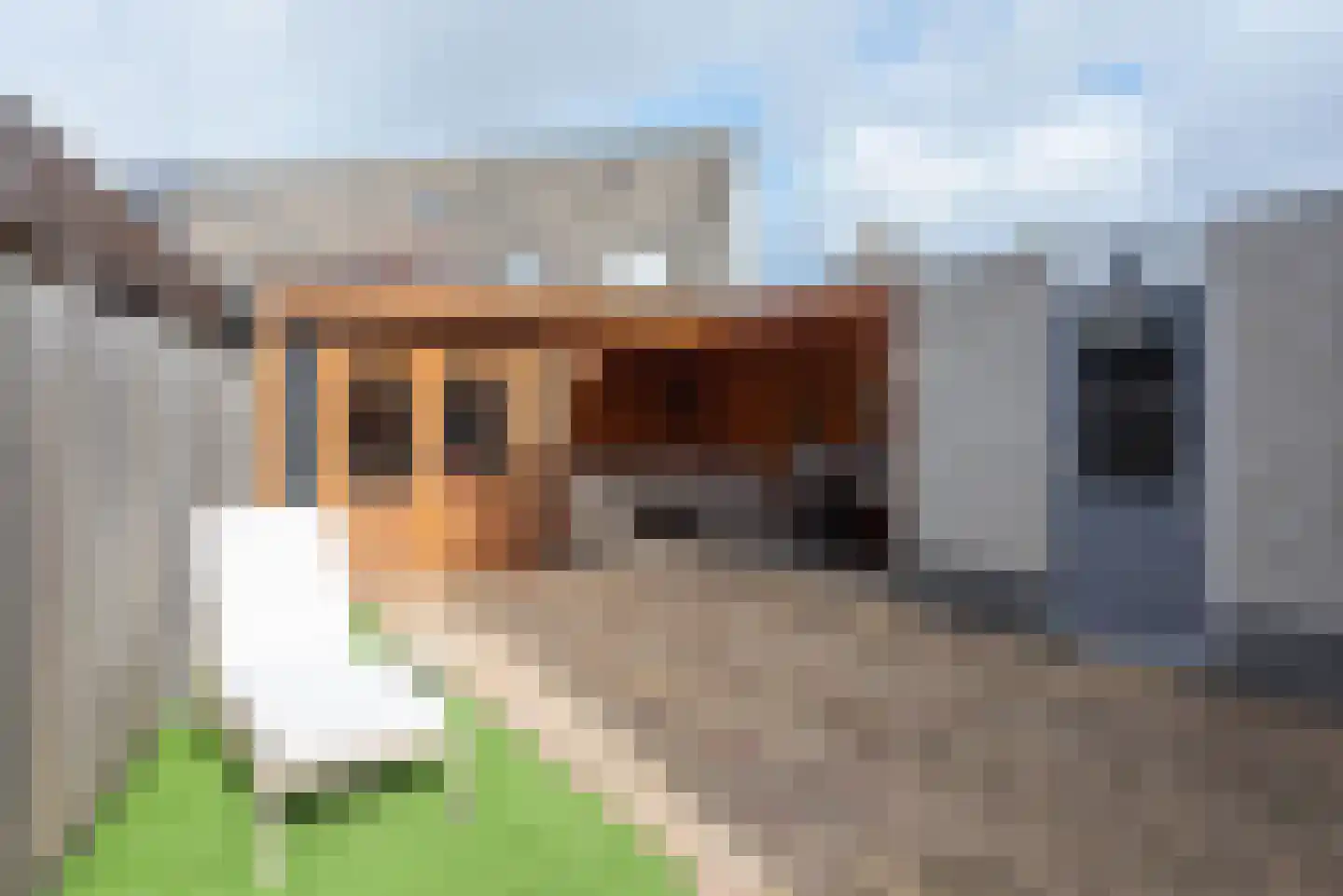 Kruiszwin 5710 Julianadorp thumbnail 32
