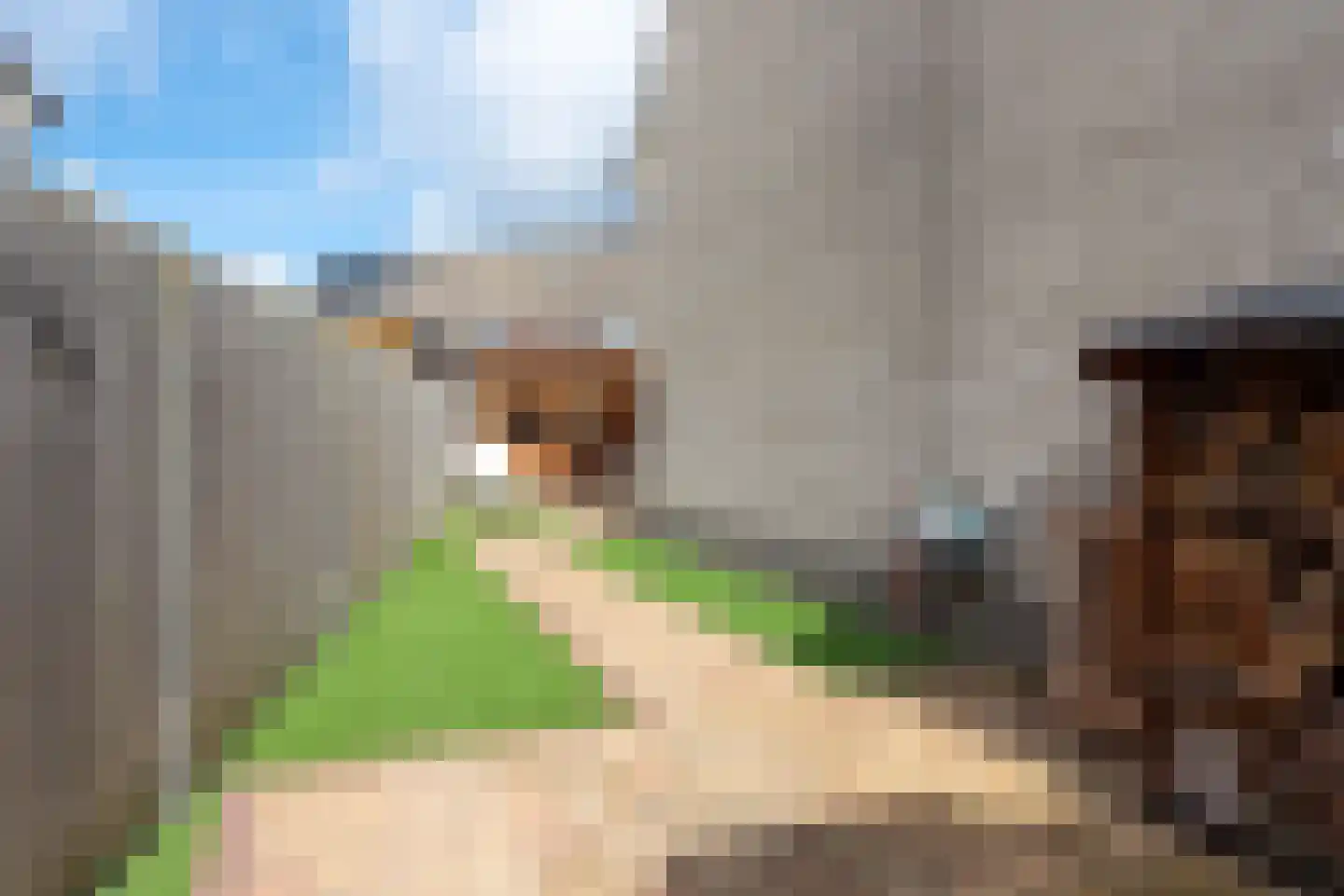 Kruiszwin 5710 Julianadorp thumbnail 34