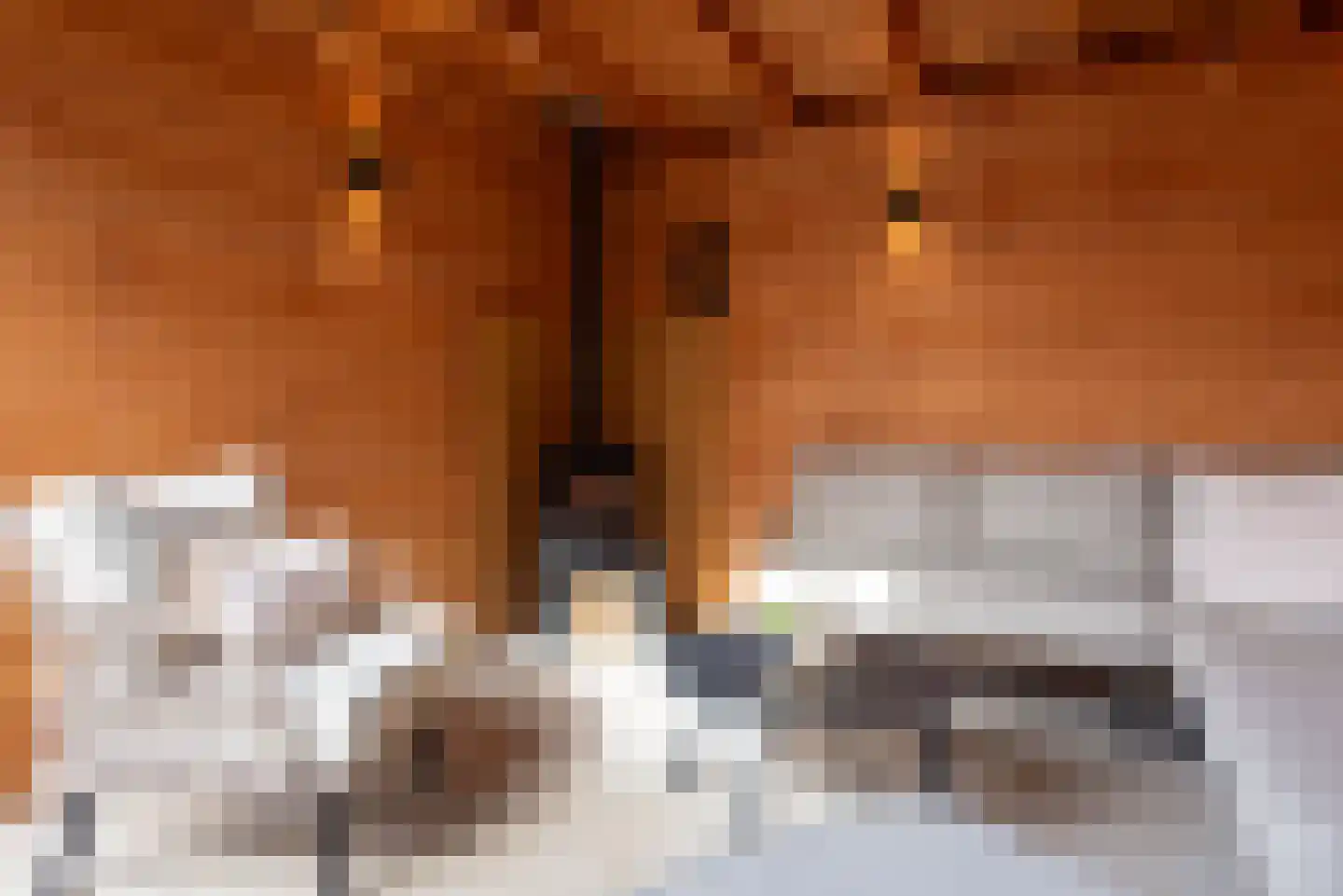 Kruiszwin 5710 Julianadorp thumbnail 37
