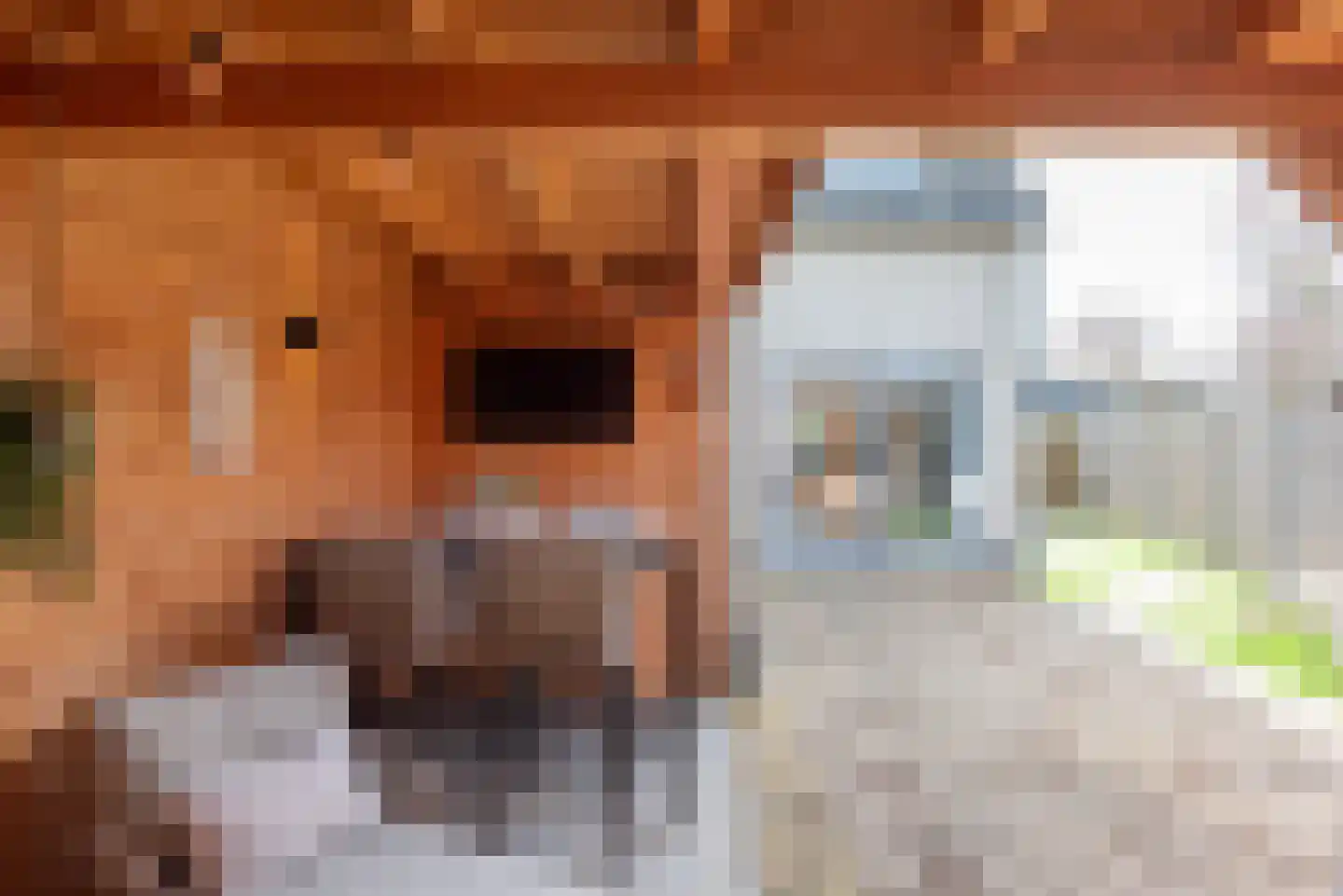 Kruiszwin 5710 Julianadorp thumbnail 38