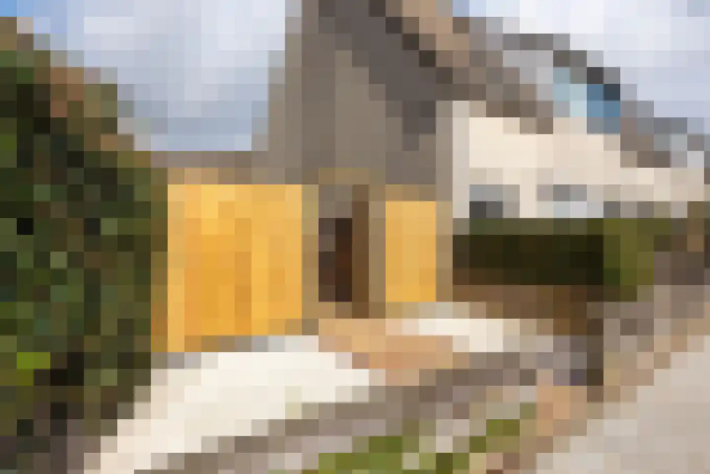 Kruiszwin 5710 Julianadorp thumbnail 43