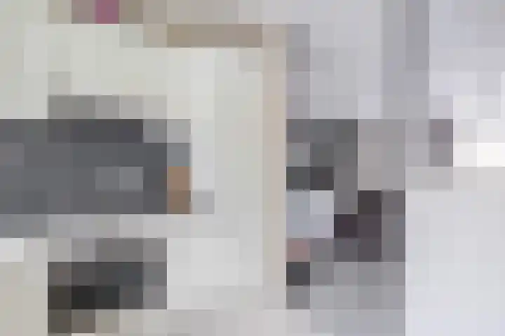 Kruiszwin 5721 Julianadorp thumbnail 10
