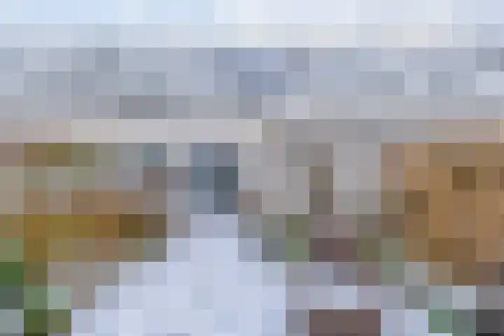Kruiszwin 5721 Julianadorp thumbnail 14