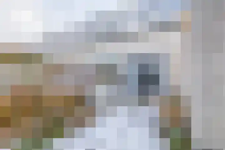 Kruiszwin 5721 Julianadorp thumbnail 15
