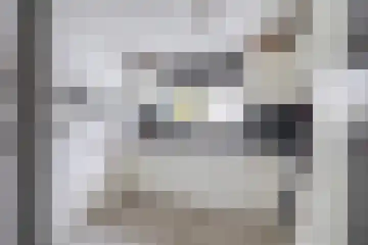 Kruiszwin 5721 Julianadorp thumbnail 9