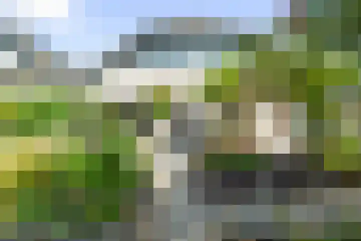 Kruiszwin 5730 Julianadorp thumbnail 22