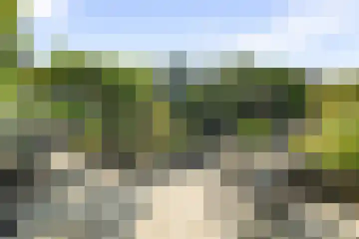 Kruiszwin 5730 Julianadorp thumbnail 23