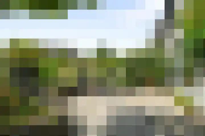 Kruiszwin 5730 Julianadorp thumbnail 24