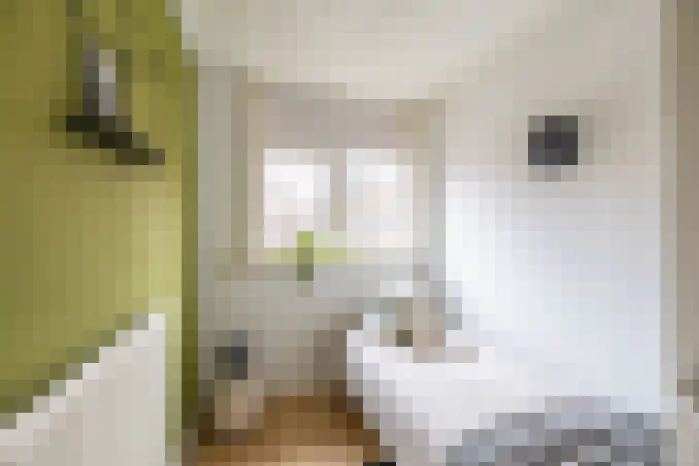 Kruitgracht 6 b Groningen thumbnail 35
