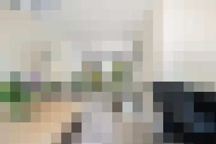 Kruithof 11 Schijndel thumbnail 11