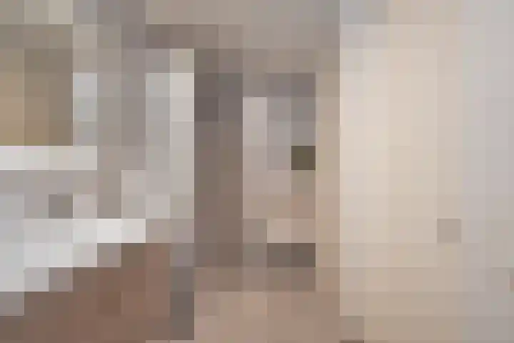 Kruithof 11 Schijndel thumbnail 24