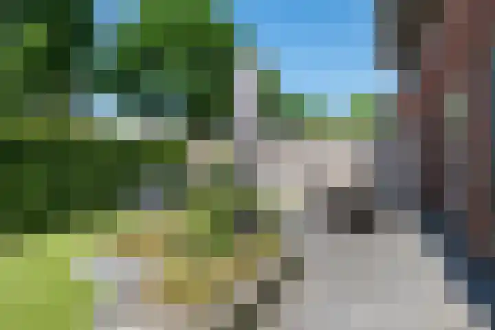 Kruithof 11 Schijndel thumbnail 29