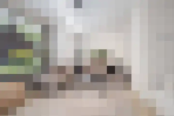 Kruithof 11 Schijndel thumbnail 7