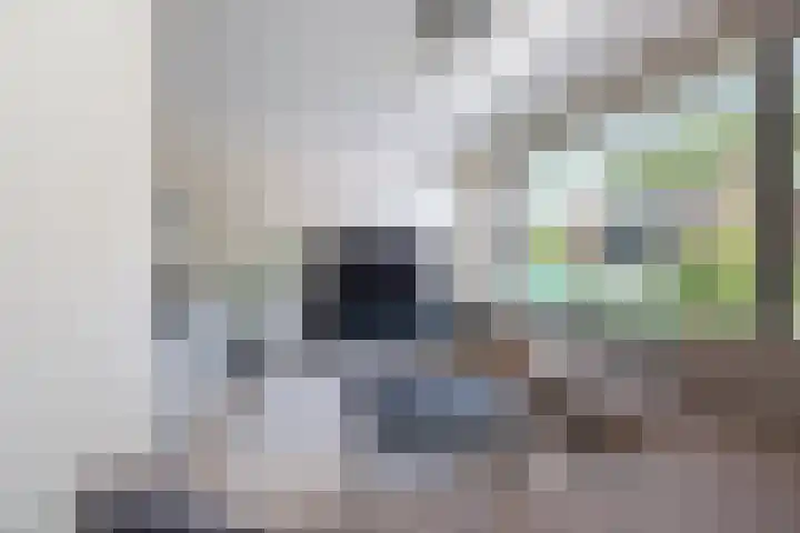 Kruithof 11 Schijndel thumbnail 8