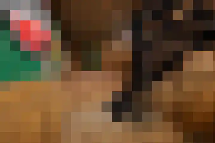 Kruithof 15 Schijndel thumbnail 19