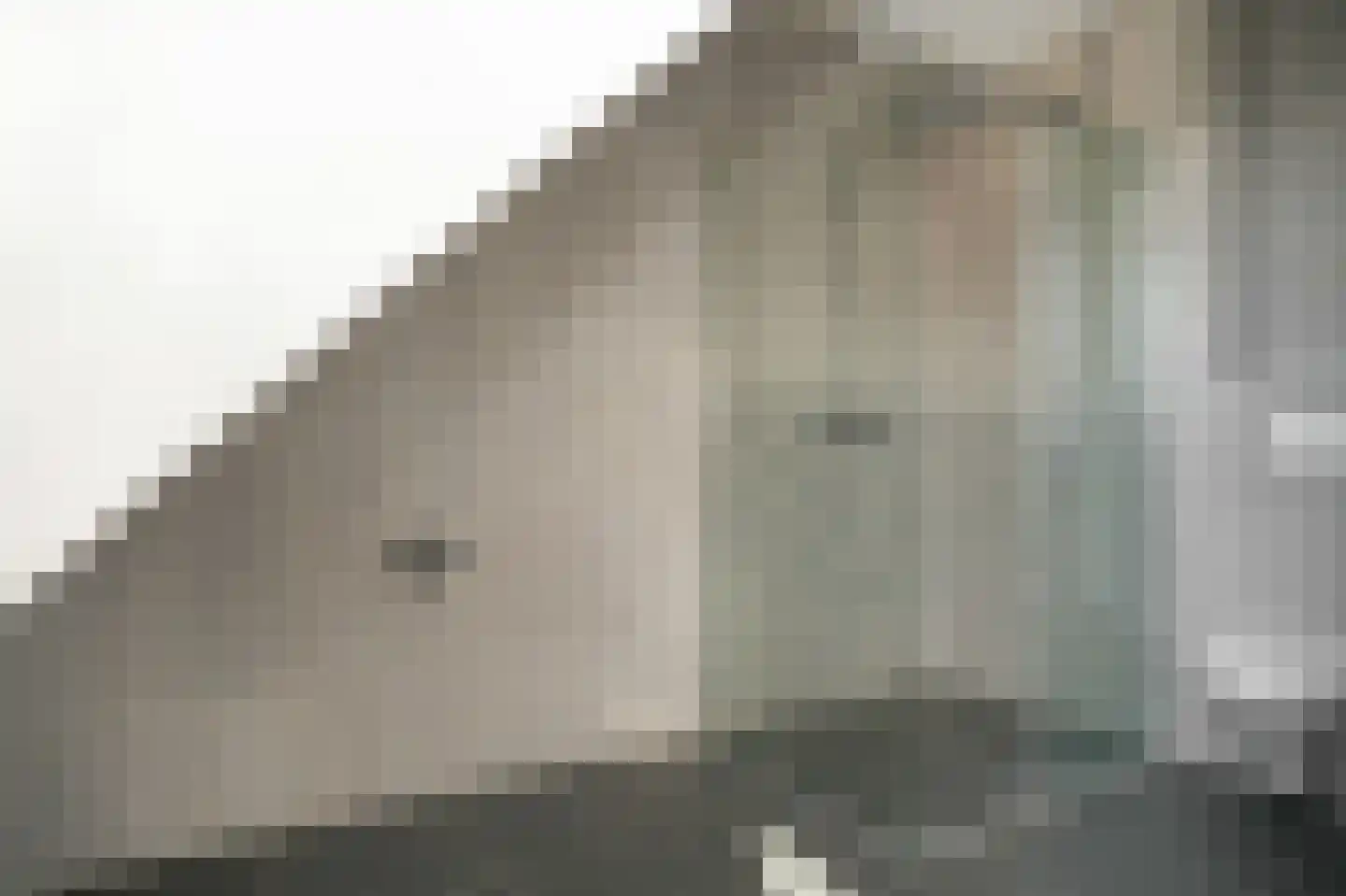 Kruithof 2 Haaften thumbnail 26