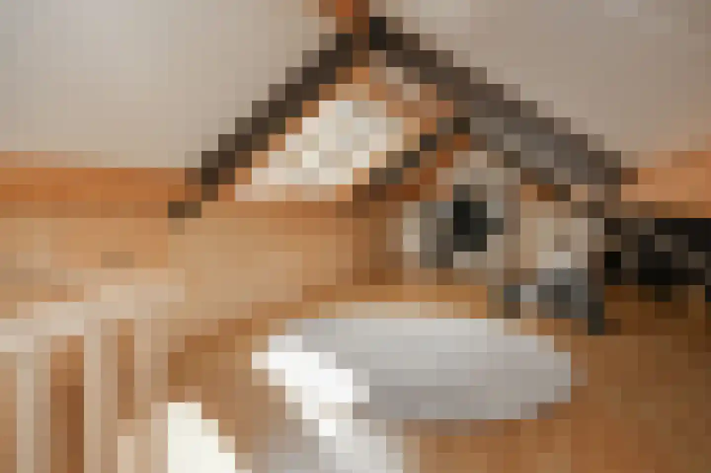 Kruithof 2 Haaften thumbnail 46