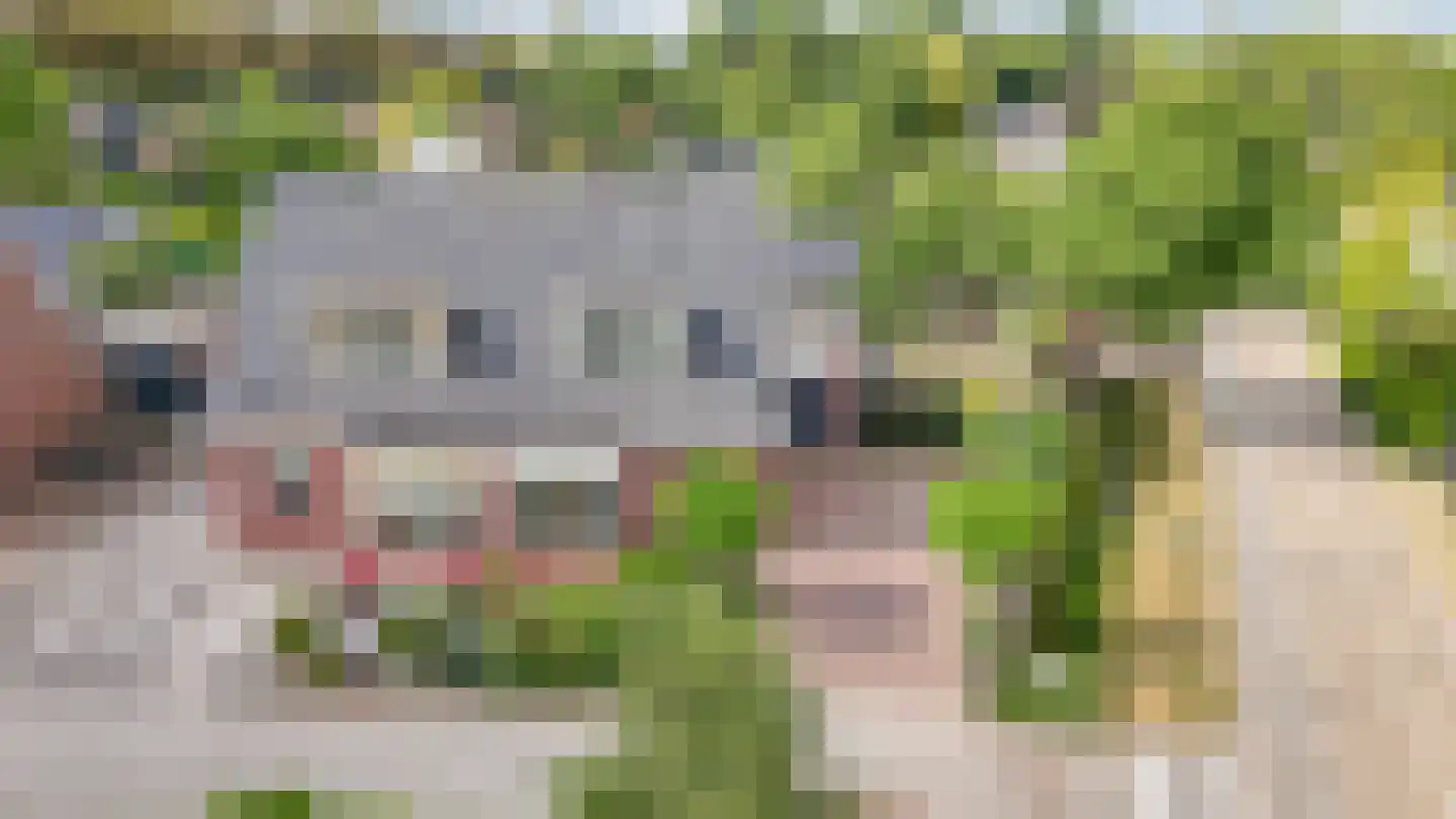 Kruithof 2 Haaften thumbnail 52