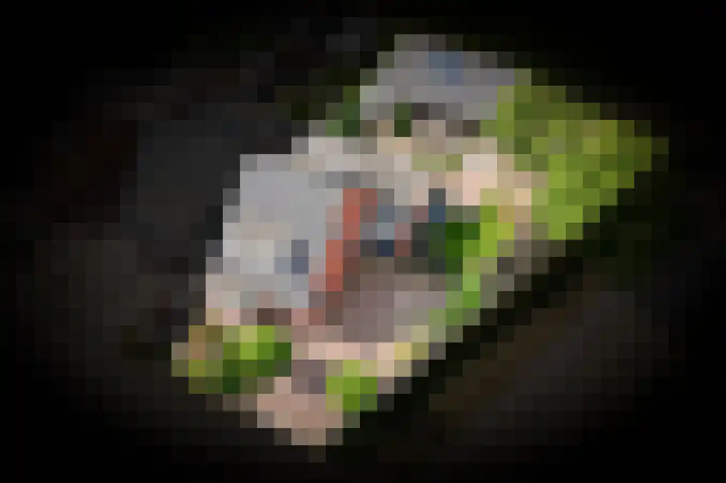 Kruithof 2 Haaften thumbnail 53