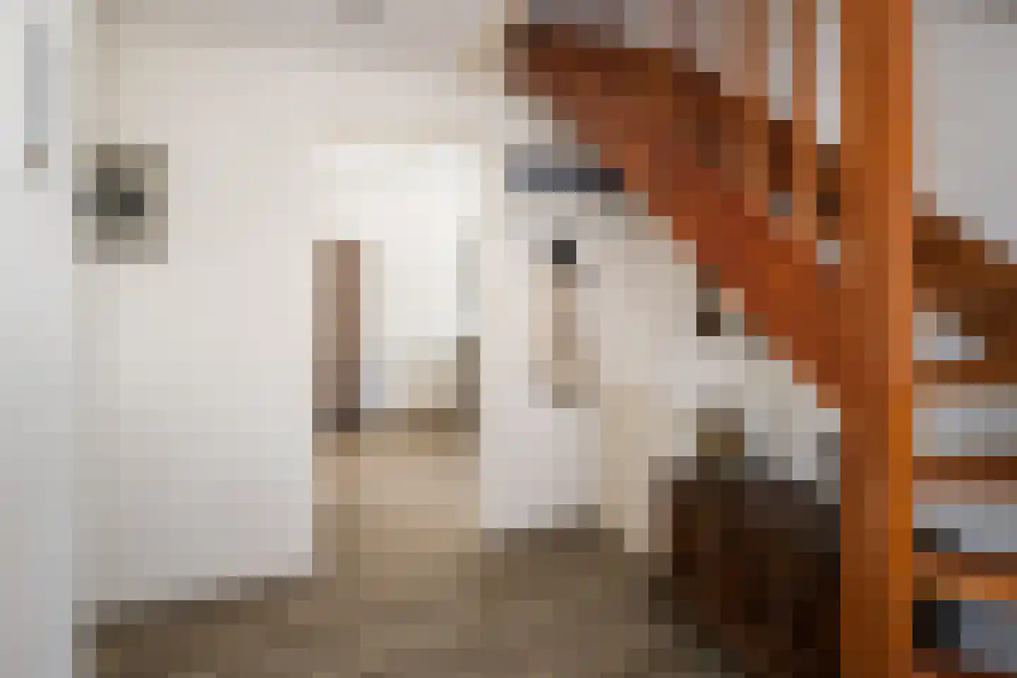 Kruithof 3 Haaften thumbnail 9