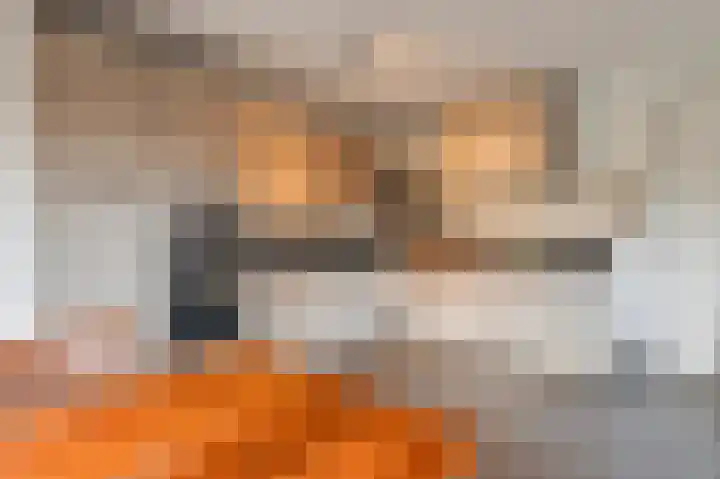 Kruithof 5 Haaften thumbnail 12