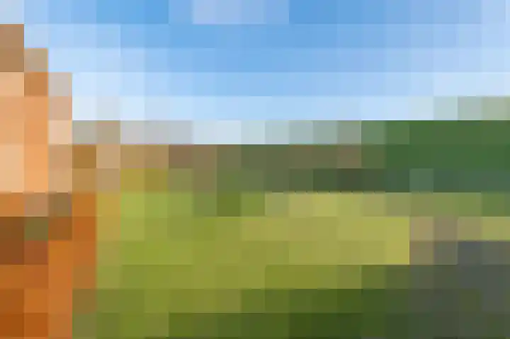 Kruithof 5 Haaften thumbnail 31