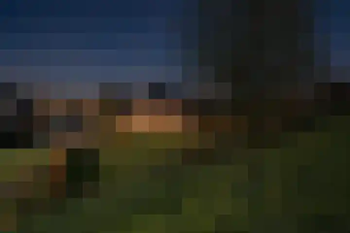 Kruithof 5 Haaften thumbnail 33