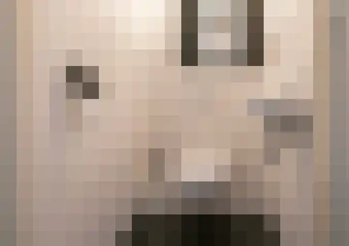 Kruithof 5 Haaften thumbnail 5