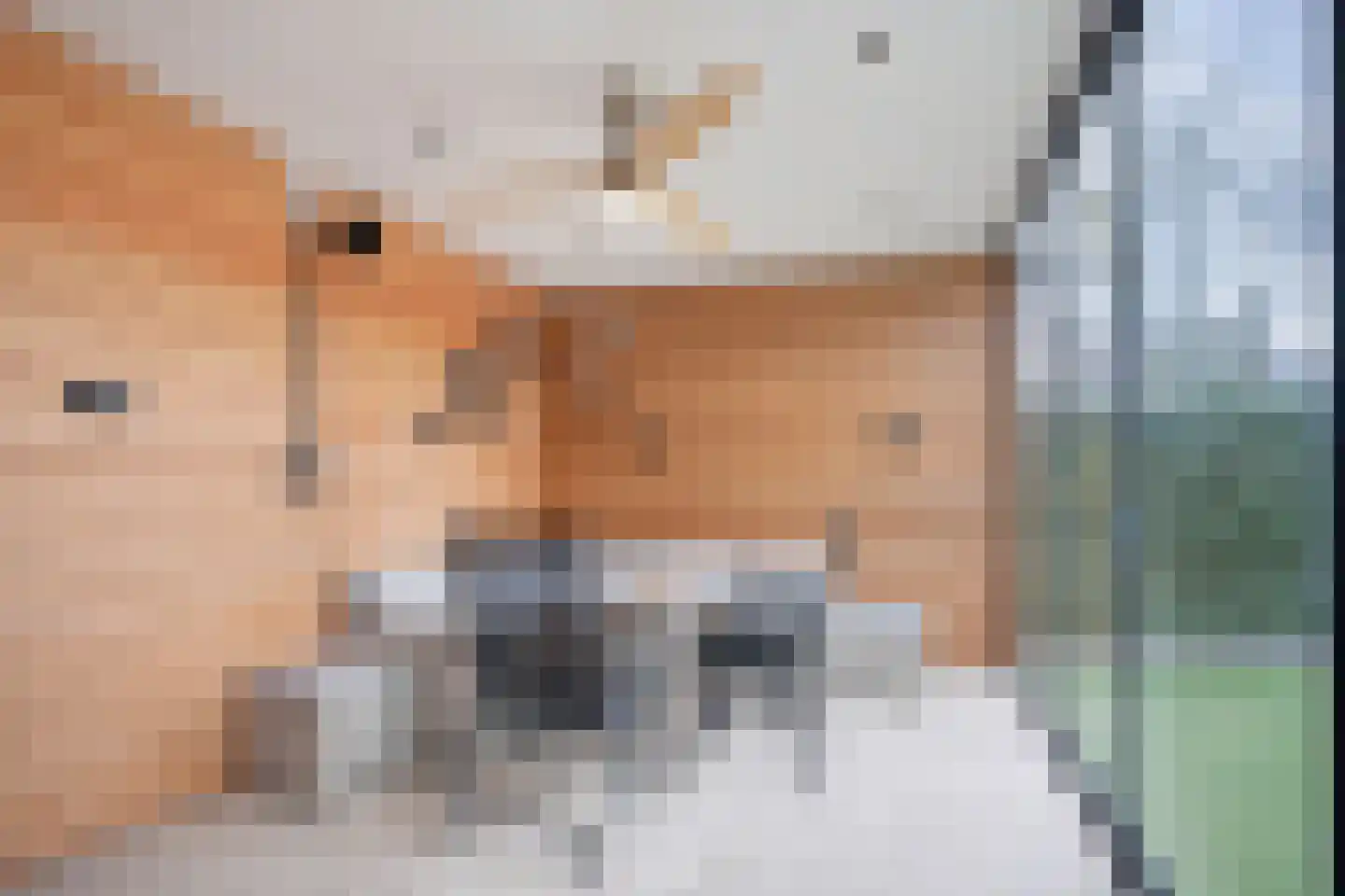 Kruithof 5 Schijndel thumbnail 31