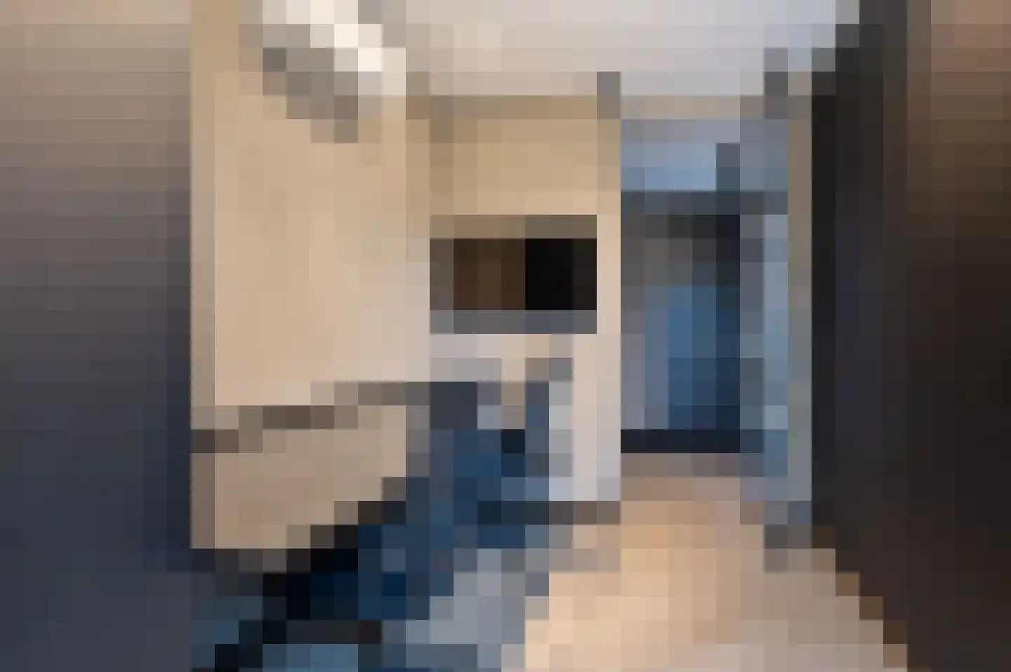 Kruithof 5 Schijndel thumbnail 4