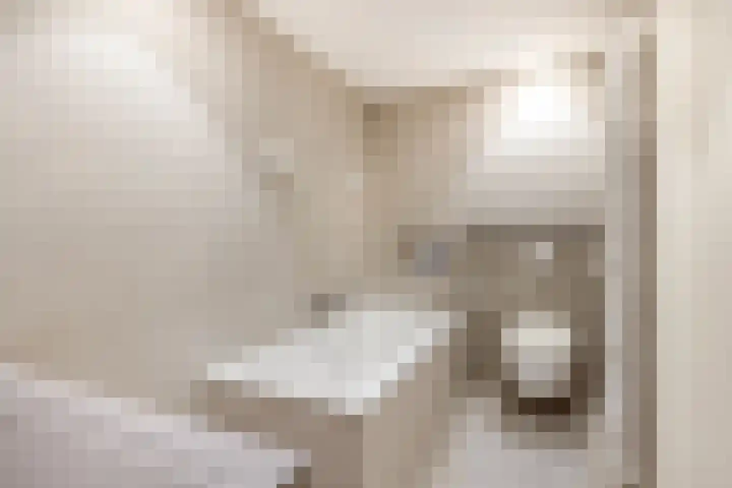 Kruithof 7 Schijndel thumbnail 18