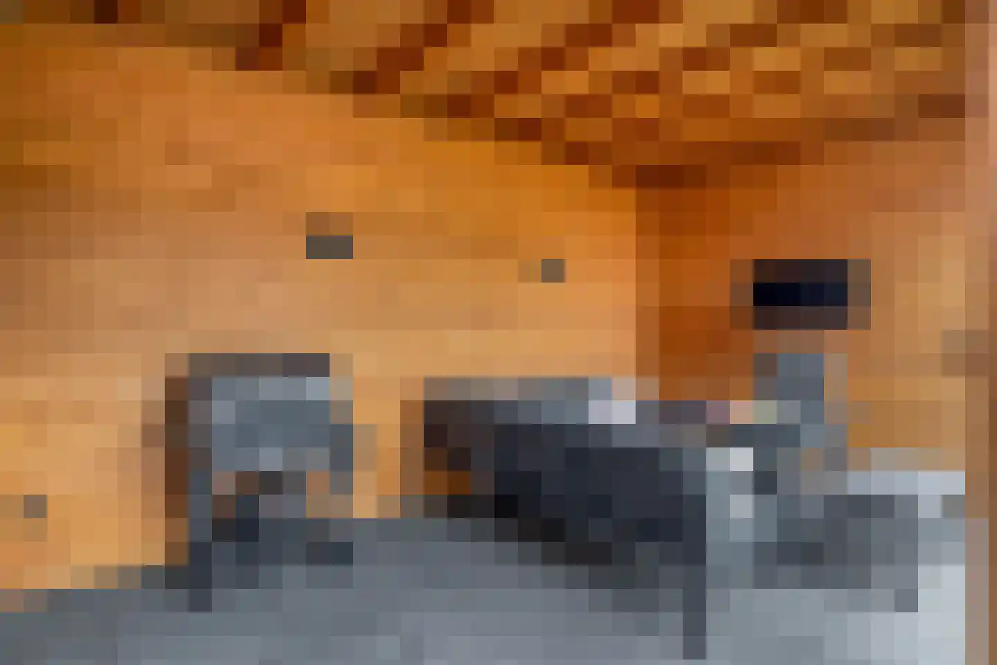 Kruithof 7 Schijndel thumbnail 32