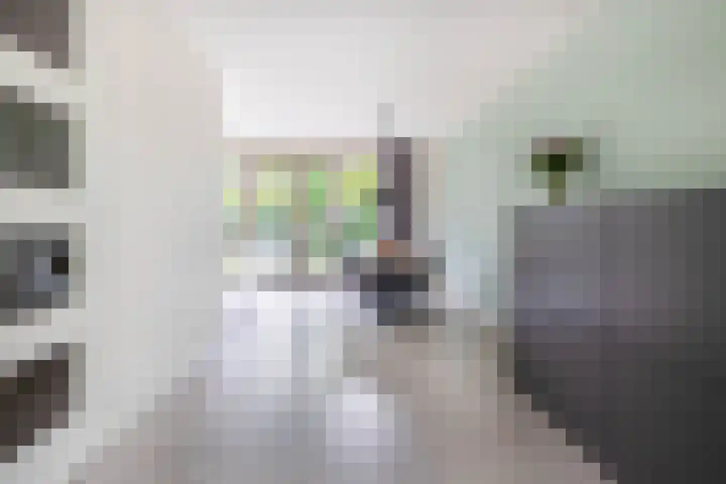 Kruithof 7 Schijndel thumbnail 7