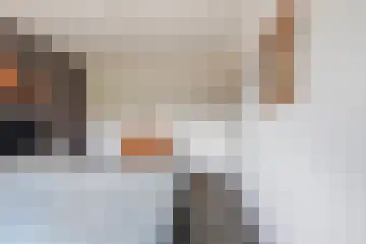 Kruithoorn 1 Gilze thumbnail 42