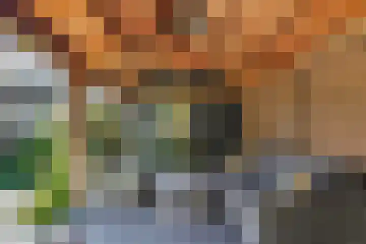 Kruithoorn 1 Gilze thumbnail 48