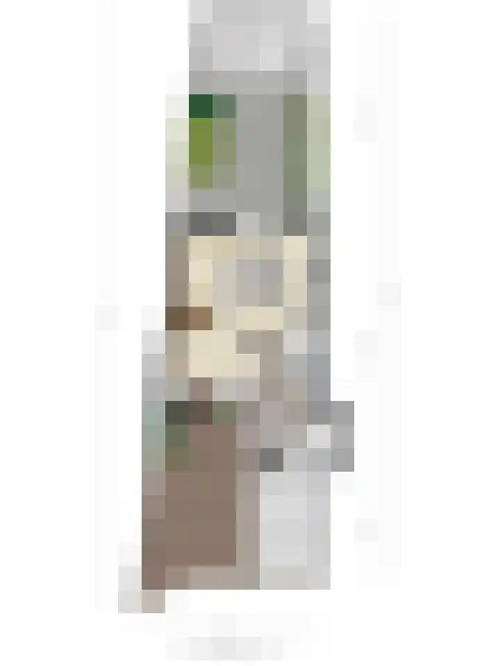 Kruithoorn 1 Gilze thumbnail 55