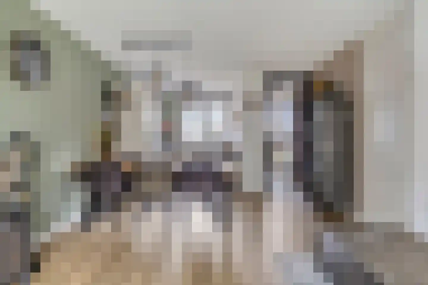 Kruithoorn 15 Sint Hubert thumbnail 17