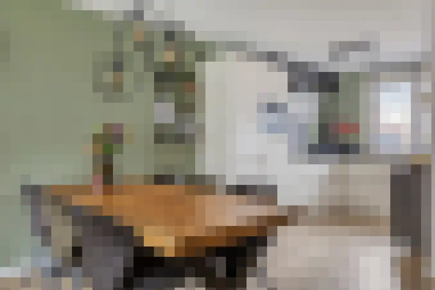 Kruithoorn 15 Sint Hubert thumbnail 18