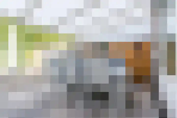 Kruithoorn 19 Gilze thumbnail 17