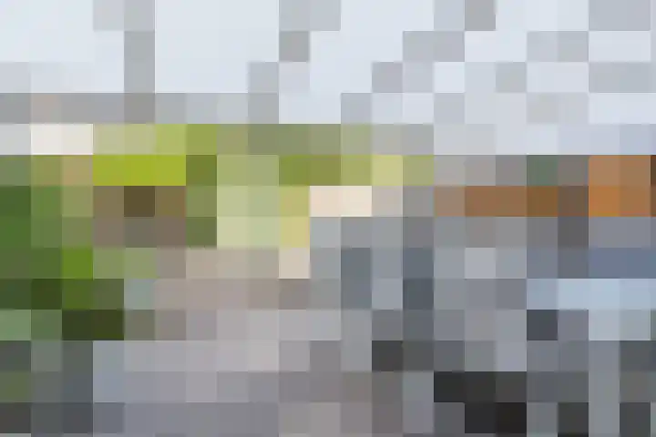 Kruithoorn 19 Gilze thumbnail 19