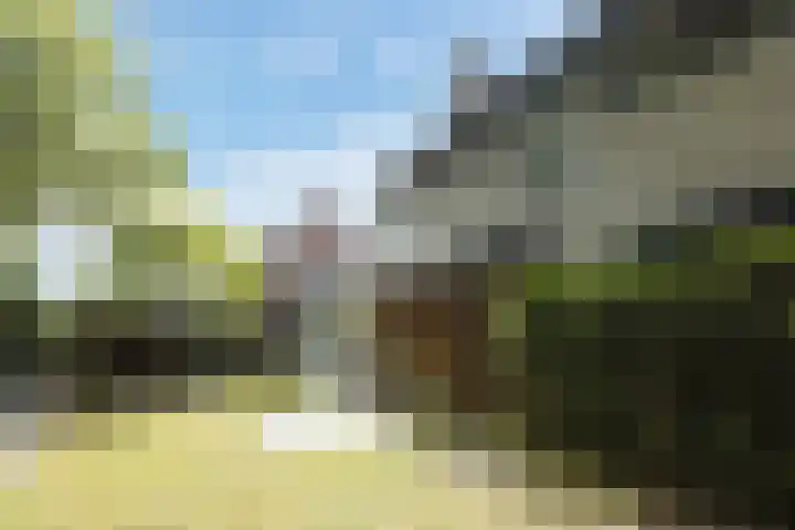Kruithoorn 23 Gilze thumbnail 21