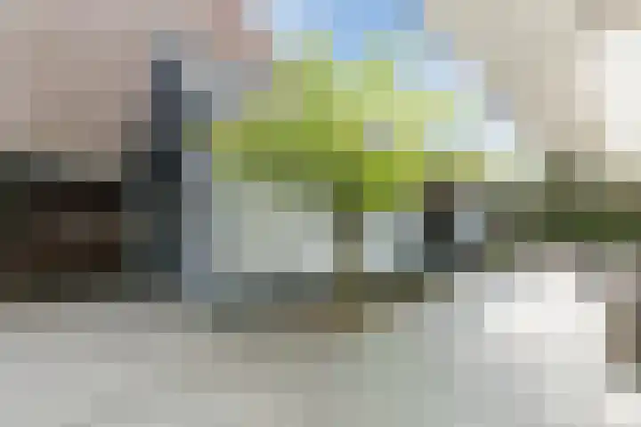 Kruithoorn 23 Gilze thumbnail 26