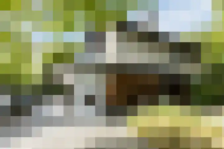 Kruithoorn 23 Gilze thumbnail 4